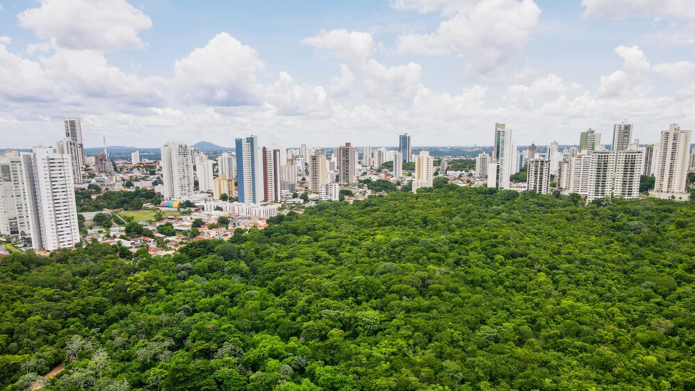 transporte de veículos em cuiaba