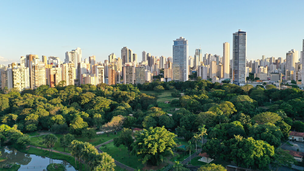 transporte de veículos em goiania