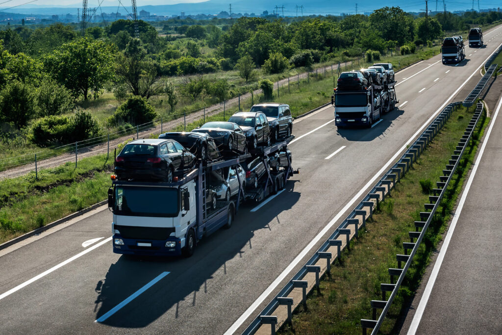 Transportar Caso Entre Estados