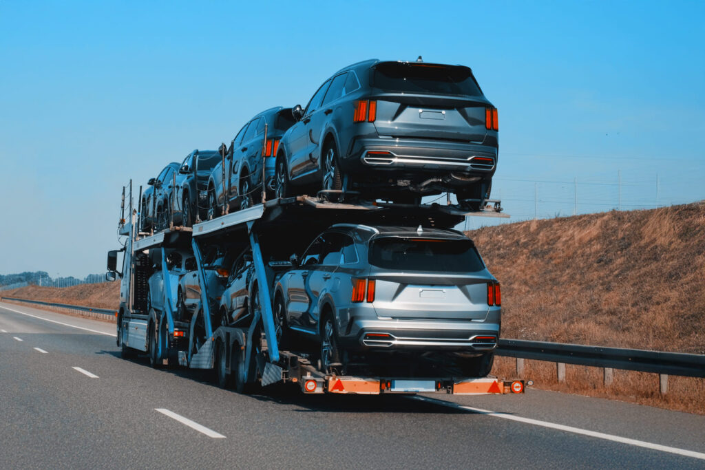 cegonha para levar carro