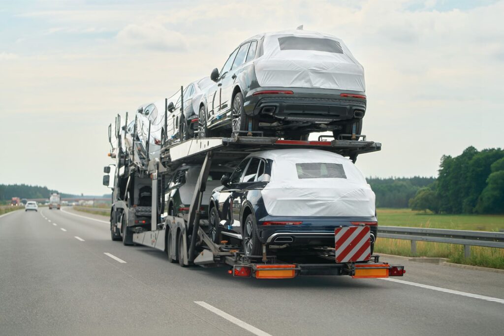 Cegonha Transporte de Carros